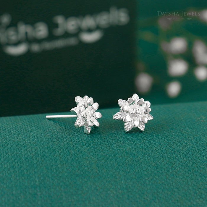 Silver Polished Modern Earrings